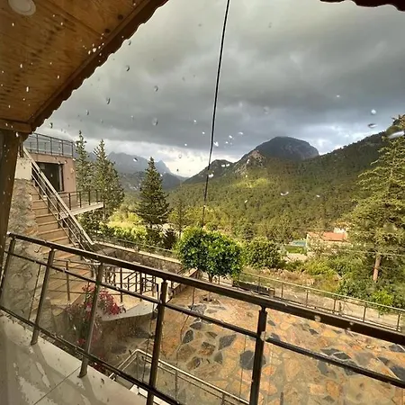 Afitap Hacisekililer