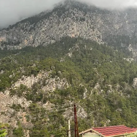 Alpehytte Afitap *